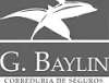 Logo G Baylin